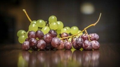 Grape seed oil used as a massage oil – What are its advantages?
